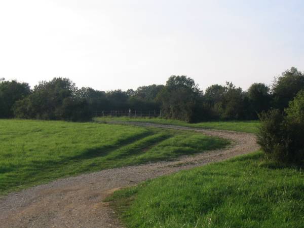 04 chemin piquenique.JPG