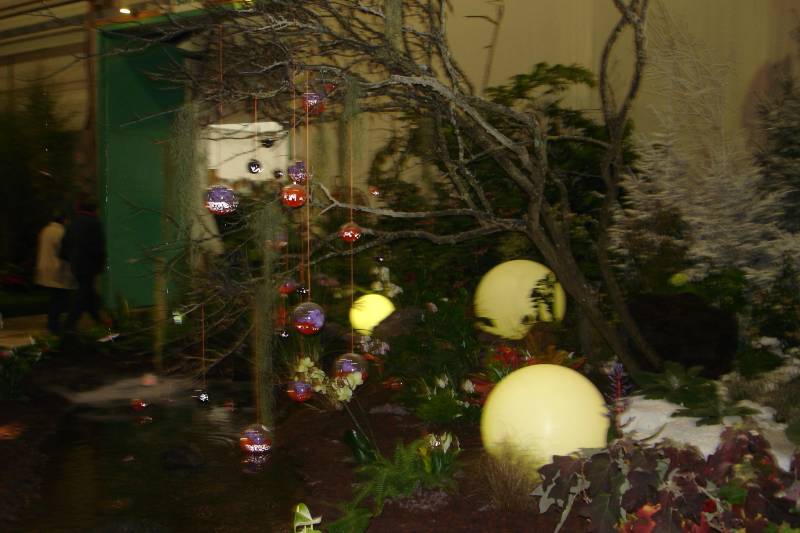 DSC08422.JPG