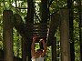 DSC06277.jpg