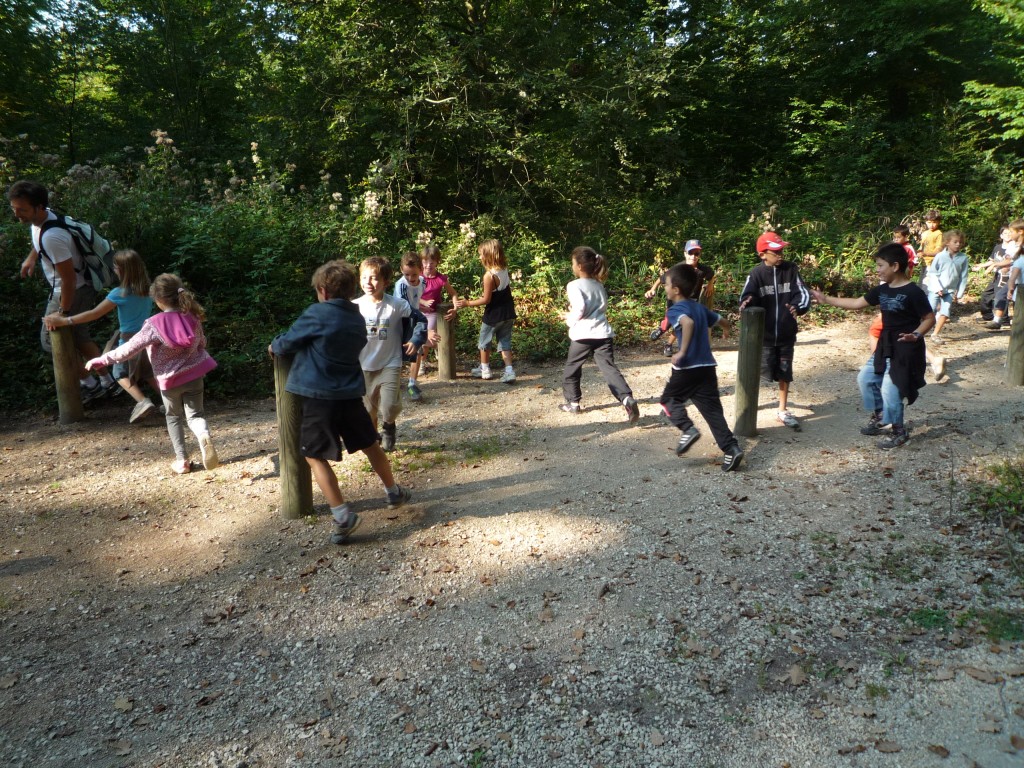 P1060251.jpg